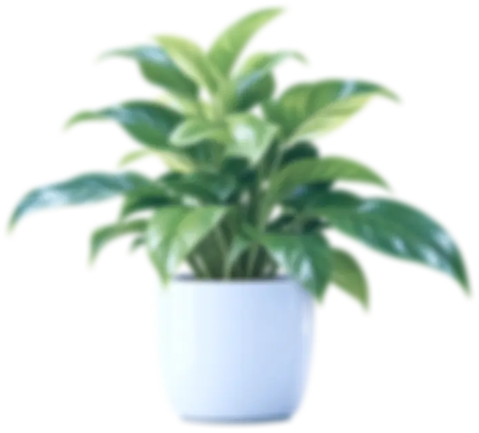 Automization Flower Image